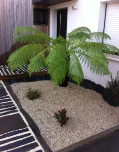 Aménagement d'un jardin à Bouguenais