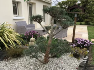 Aménagement d'un jardin à Vertou